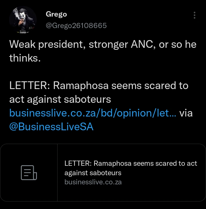 We Are Not Safe Under Your Presidency: Man Says There Are Saboteurs In Ramaphosa's Govt 4