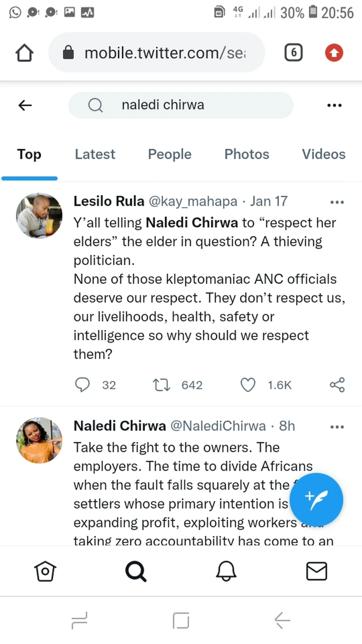 She is a foreigner insulting our president: Mzansi reacts 3