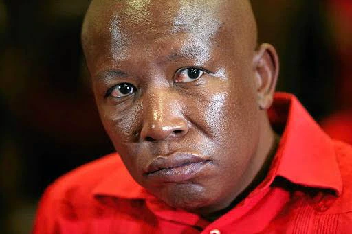 Once Upon A Time: Lady Says As She Reveals Previous Criminal Activities Done By Julius Malema 4