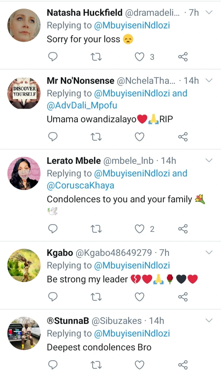 Condolences Pour In, For EFF Mbuyiseni Ndlozi, RIP Death Is Cruel  5