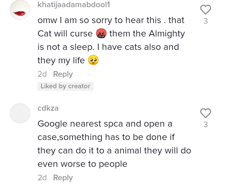 Heartbreaking: SA Woman in tears explains what evil neighbors did to her Cat. Opinion 4