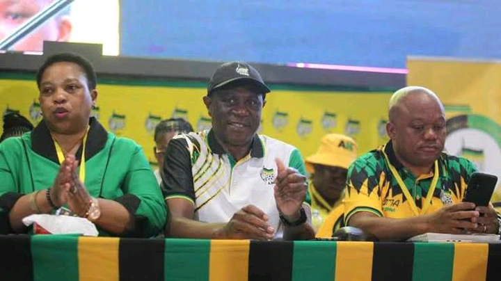 ANC Members Turned Conference Upside Down As They Started To Cause Chaos 15