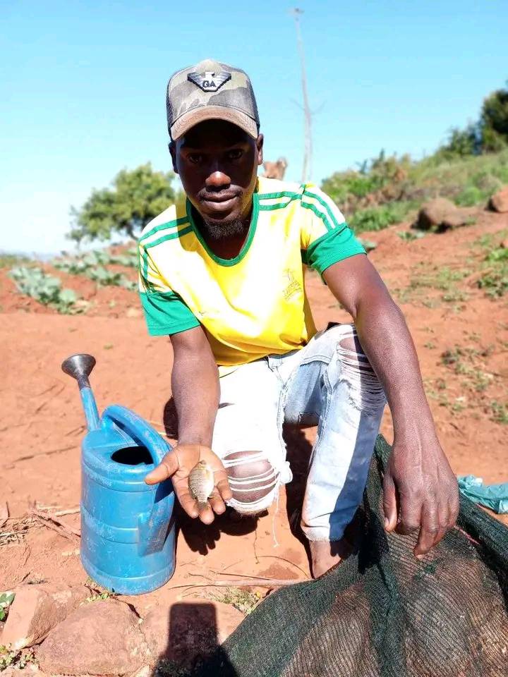 A Young Man From Limpopo Left Mzansi Speechless. After Building His Own Fish Ponds 2