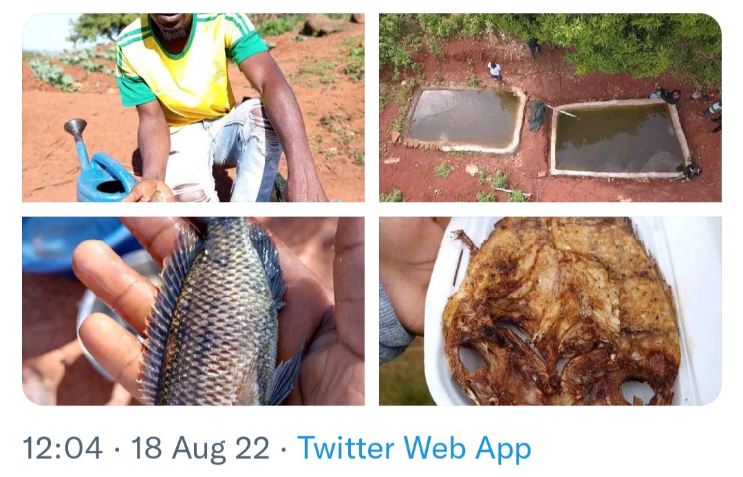 A Young Man From Limpopo Left Mzansi Speechless. After Building His Own Fish Ponds 1