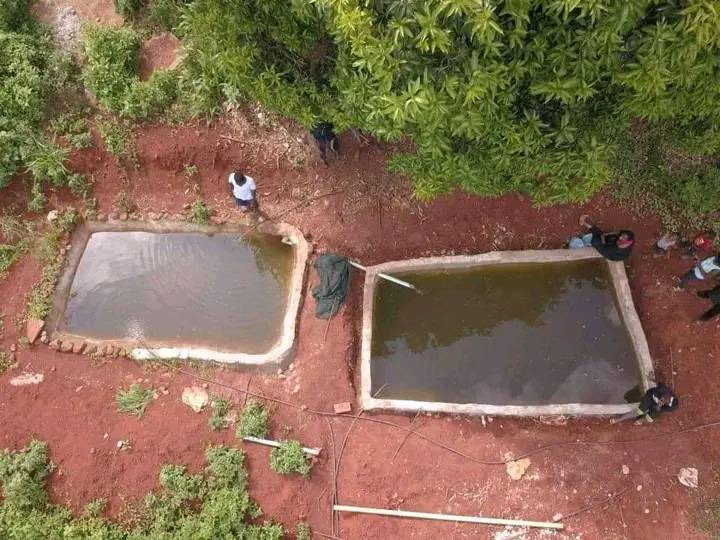 A Young Man From Limpopo Left Mzansi Speechless. After Building His Own Fish Ponds 5