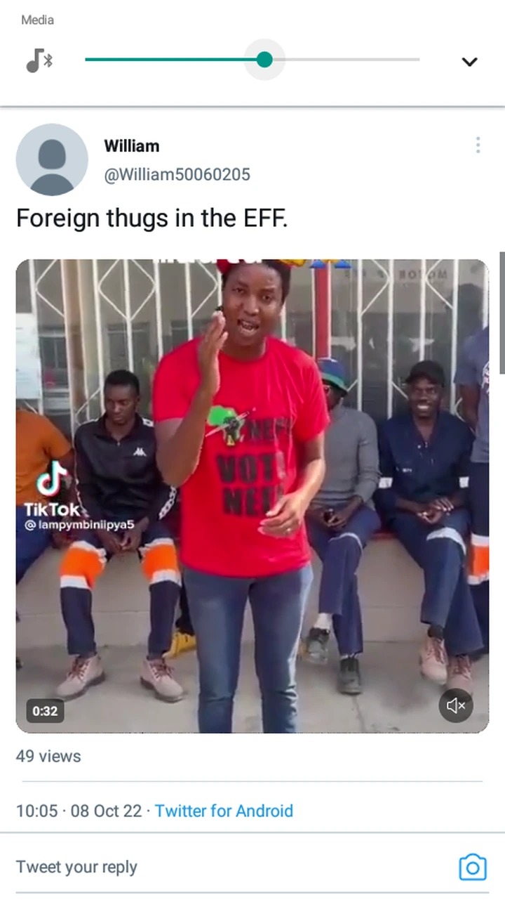 Foreign thugs in the EFF. This post has caused a stir on social media 1