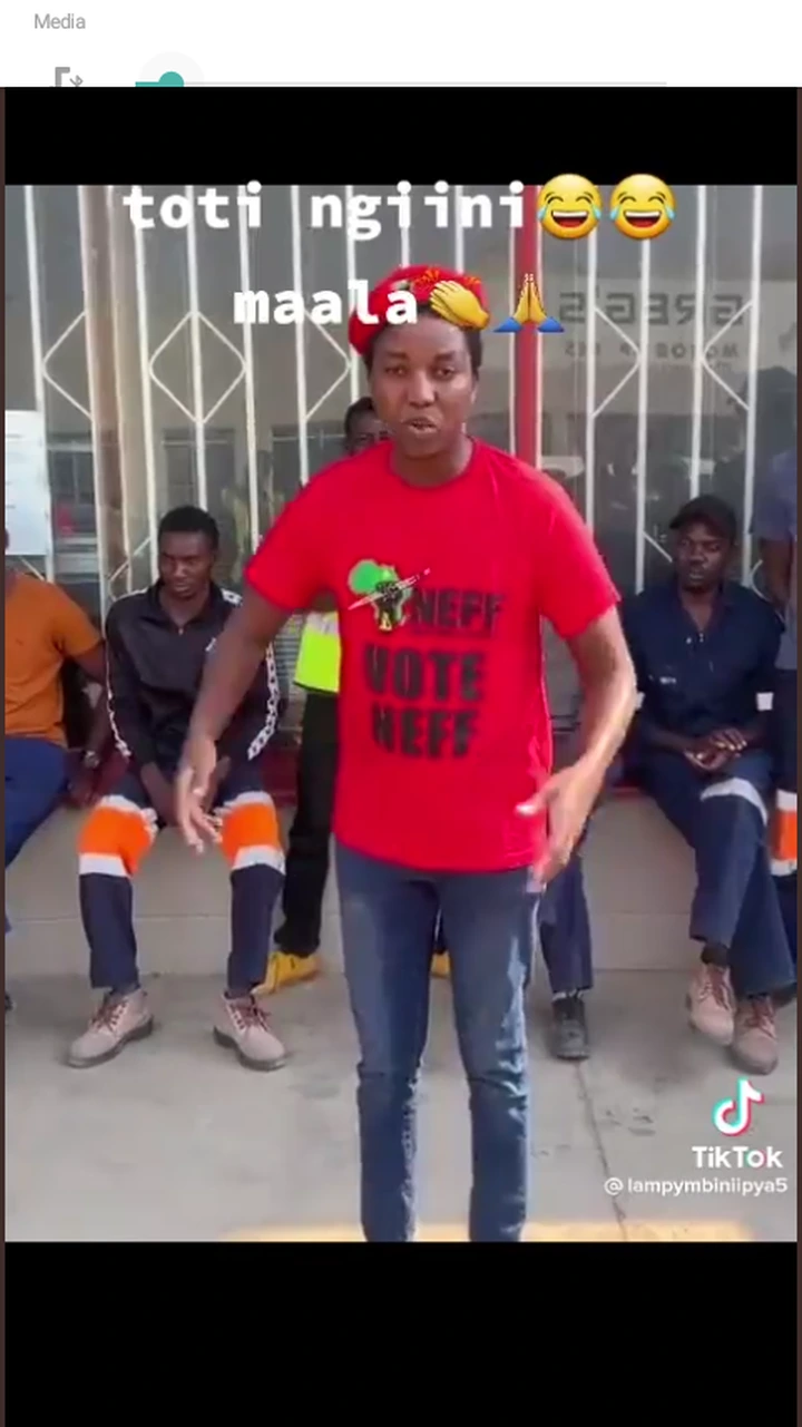 Foreign thugs in the EFF. This post has caused a stir on social media 3