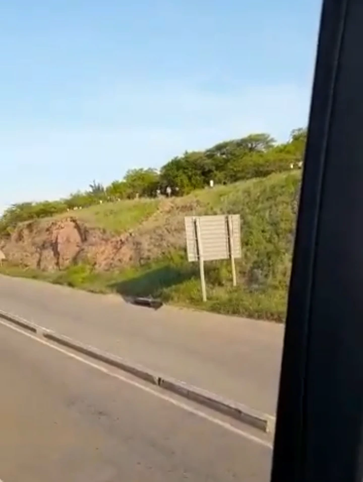 VIDEO: Thousands Of Illegal Zimbabweans Recorded By Truck Driver Crossing Into SA Illegally 4