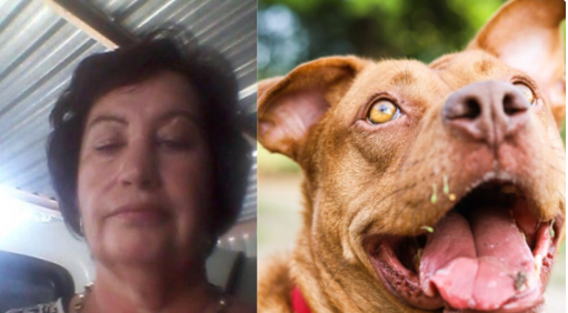 Kill Blacks - Leave Pitbulls: Belinda's Utterance Gets Her Kicked Out Of Her Renting Place 1