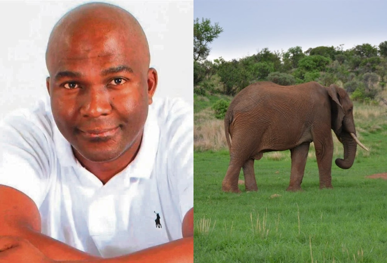 Pilanesberg Park Faces Backlash Over Deteriorating Conditions