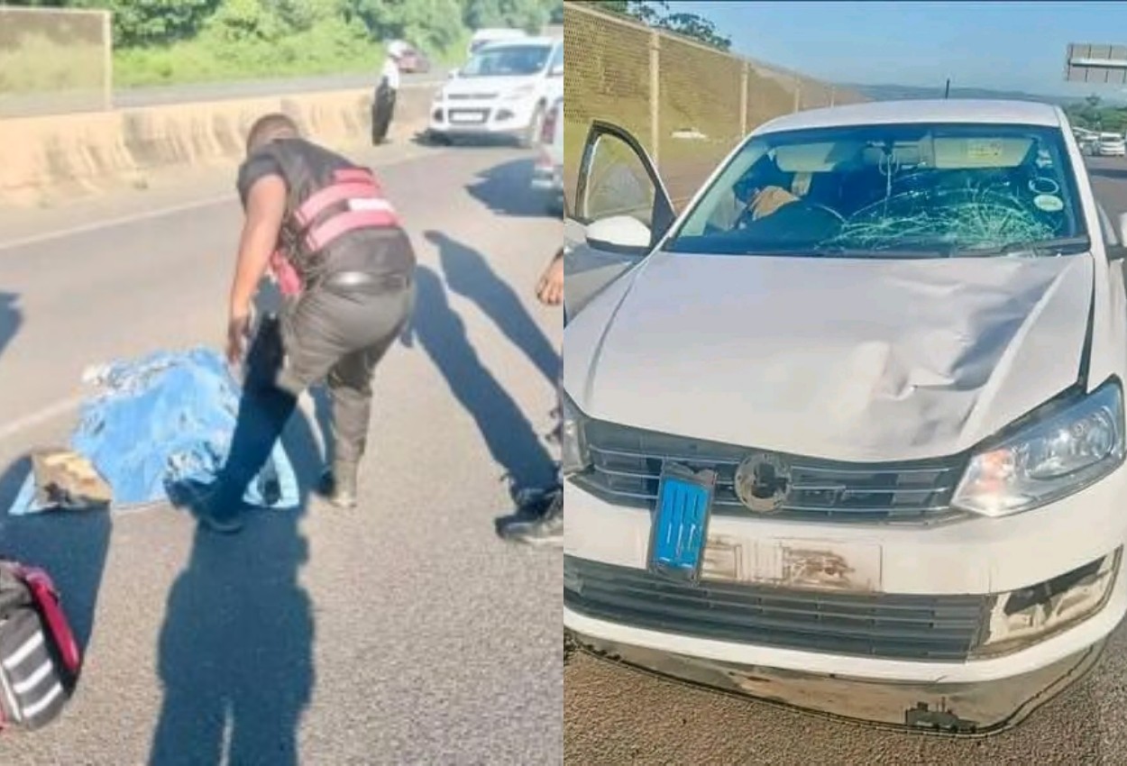 Tragic Fatality: Pedestrian Killed in Accident on R102