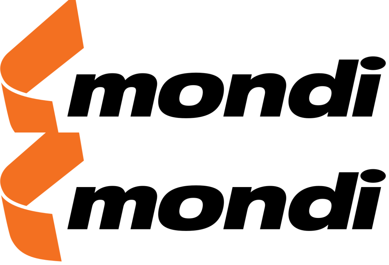 Work Integrated Learning Programme at Mondi 2025